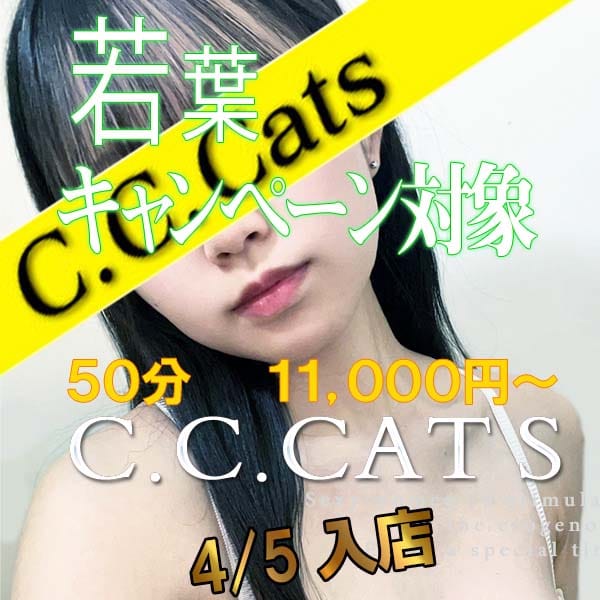 さくら | 渋谷フェチM性感C.C.Cats(新宿・歌舞伎町)