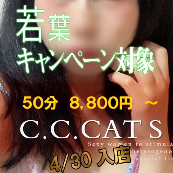 いずみ | 渋谷フェチM性感C.C.Cats(新宿・歌舞伎町)