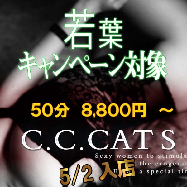 ゆず | 渋谷フェチM性感C.C.Cats(新宿・歌舞伎町)