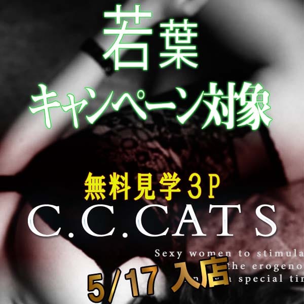 エレン | 渋谷フェチM性感C.C.Cats(新宿・歌舞伎町)