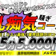 当店屈指のお祭り騒ぎ複数コース☆|ハイカロリー