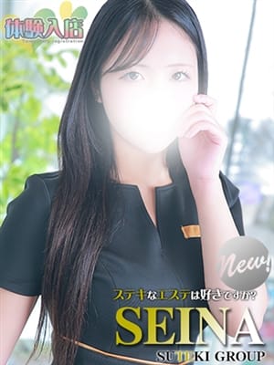 seina