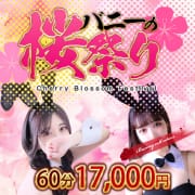 ☆バニーの桜祭り☆|バニーコレクション中洲店