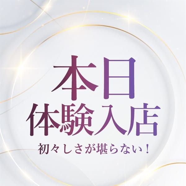 みれい【抜群の綺麗系ルックス】 | 東京デザインリング(日暮里・西日暮里)