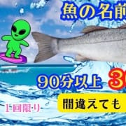 『魚』の名前がわかる方|ARIES -エリース-