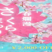 期間限定キャンペーン【さくら祭りクーポン！】全コース2,000円オフ！！|Aria-アリア-