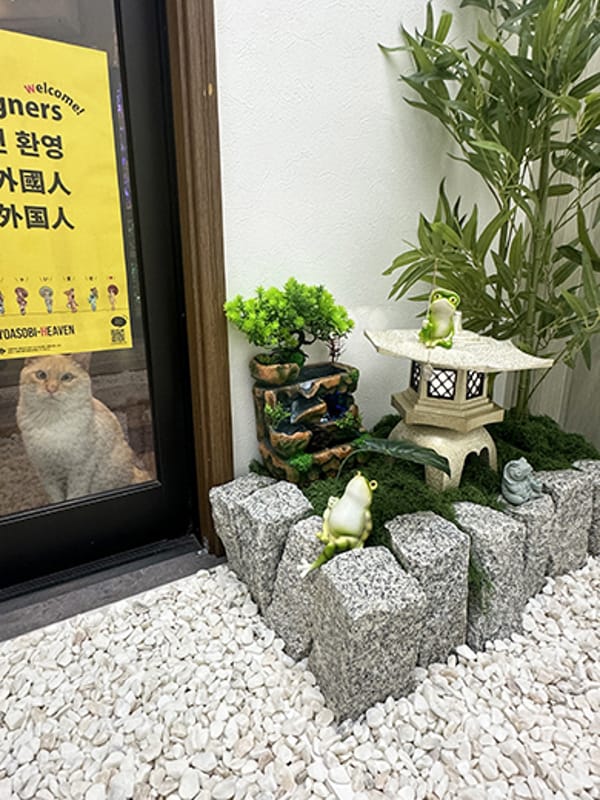 しろすけ【受付ネコ】