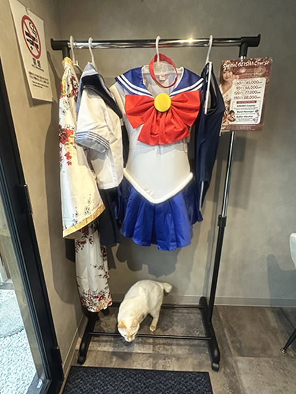 しろすけ【受付ネコ】