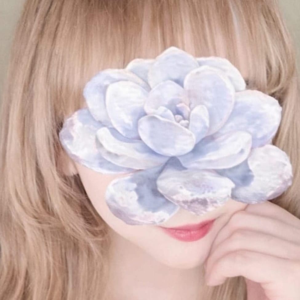 ゆみ