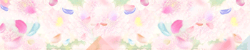 VIP SOAP MIKADO
