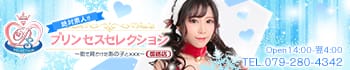プリンセスセレクション姫路