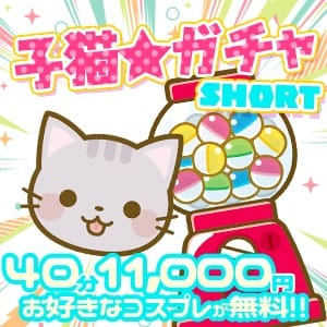 「【期間限定】子猫ガチャショート☆おまかせショートコース♪」04/25(木) 05:46 | 子猫カフェのお得なニュース