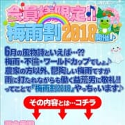 「会員様限定!!『梅雨割2018』開催♪」06/22(金) 09:11 | 名古屋人妻援護会のお得なニュース