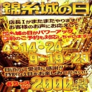 「ここは絶対外せない!!激熱の日 錦糸城の日!!」12/11(火) 06:34 | 錦糸町人妻城のお得なニュース
