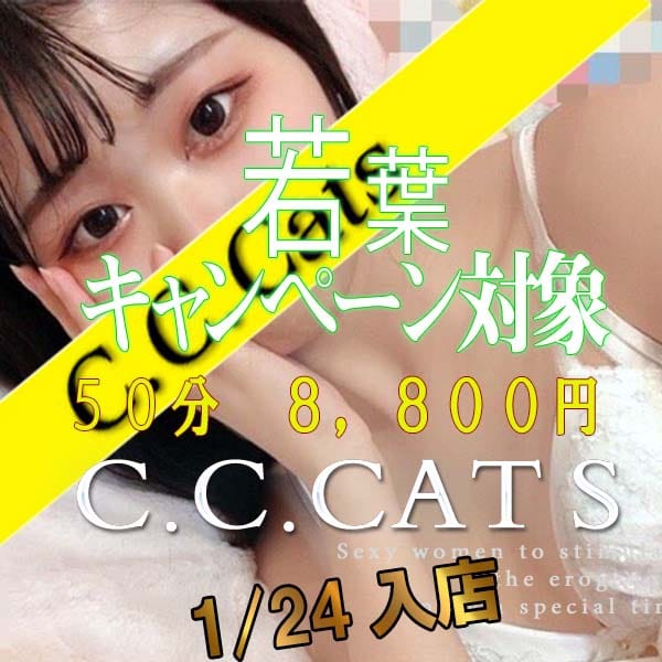 こまち | 渋谷フェチM性感C.C.Cats(渋谷)