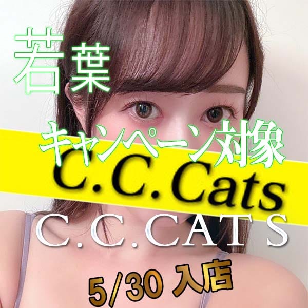 まな | 渋谷フェチM性感C.C.Cats(渋谷)