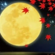 「◇11月のイベント開催中◇」11/13(火) 17:30 | 夢のお得なニュース