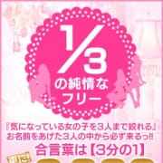 「【3分の1】の合言葉で フリーのご案内!」05/24(木) 20:26 | プロフィール和歌山のお得なニュース