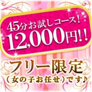 お試し４５分コース１２０００円！！|プチシュー