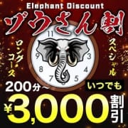 「Elephant discount」04/19(金) 14:58 | 千葉人妻花壇のお得なニュース