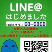 「LINE@会員様募集中です♪」05/28(月) 12:00 | COCOのお得なニュース