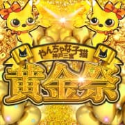 「5月はず～っと【黄金祭】でお得にお遊びして頂けます！」05/19(日) 16:19 | やんちゃな子猫神戸三宮のお得なニュース
