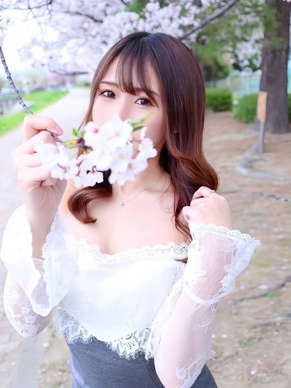 sutera