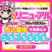 【12月発進】デリバリーリニューアル！超破格最安60分10000円~♪|ピンクの仔豚