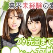 「業界激震のお試し新コース!!」02/24(日) 09:28 | 渋谷業界未経験のお得なニュース