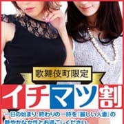 「≪歌舞伎町限定!イチマツ割≫」12/19(水) 09:55 | 麗しい人妻 新宿本店のお得なニュース