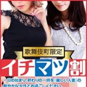 「≪歌舞伎町限定!イチマツ割≫」02/24(日) 11:25 | 麗しい人妻 新宿本店のお得なニュース