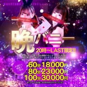 「♤晩バニー♤ 20時～LAST限定！！」12/05(火) 20:48 | 和歌山ドMなバニーちゃんのお得なニュース
