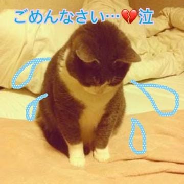 「ごめんなさい!」01/10(水) 02:29 | あいかの写メ・風俗動画