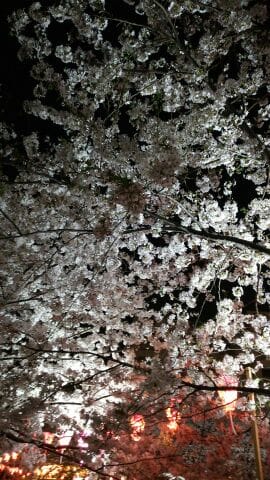 「おはようございます」04/01(日) 09:39 | 蛯原の写メ・風俗動画
