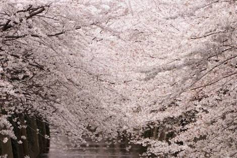 「こんにちは\(^^)/」04/01(日) 10:27 | 新人業界未経験❤️ななみの写メ・風俗動画