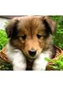 「最近の癒し」04/03(火) 17:23 | りのの写メ・風俗動画