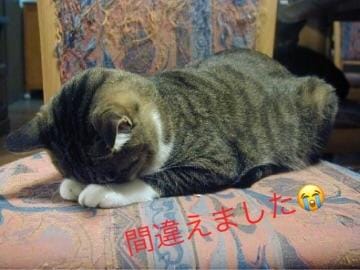 「間違えました(´;Д;`)」04/04(水) 20:41 | 向井地 りょうこの写メ・風俗動画