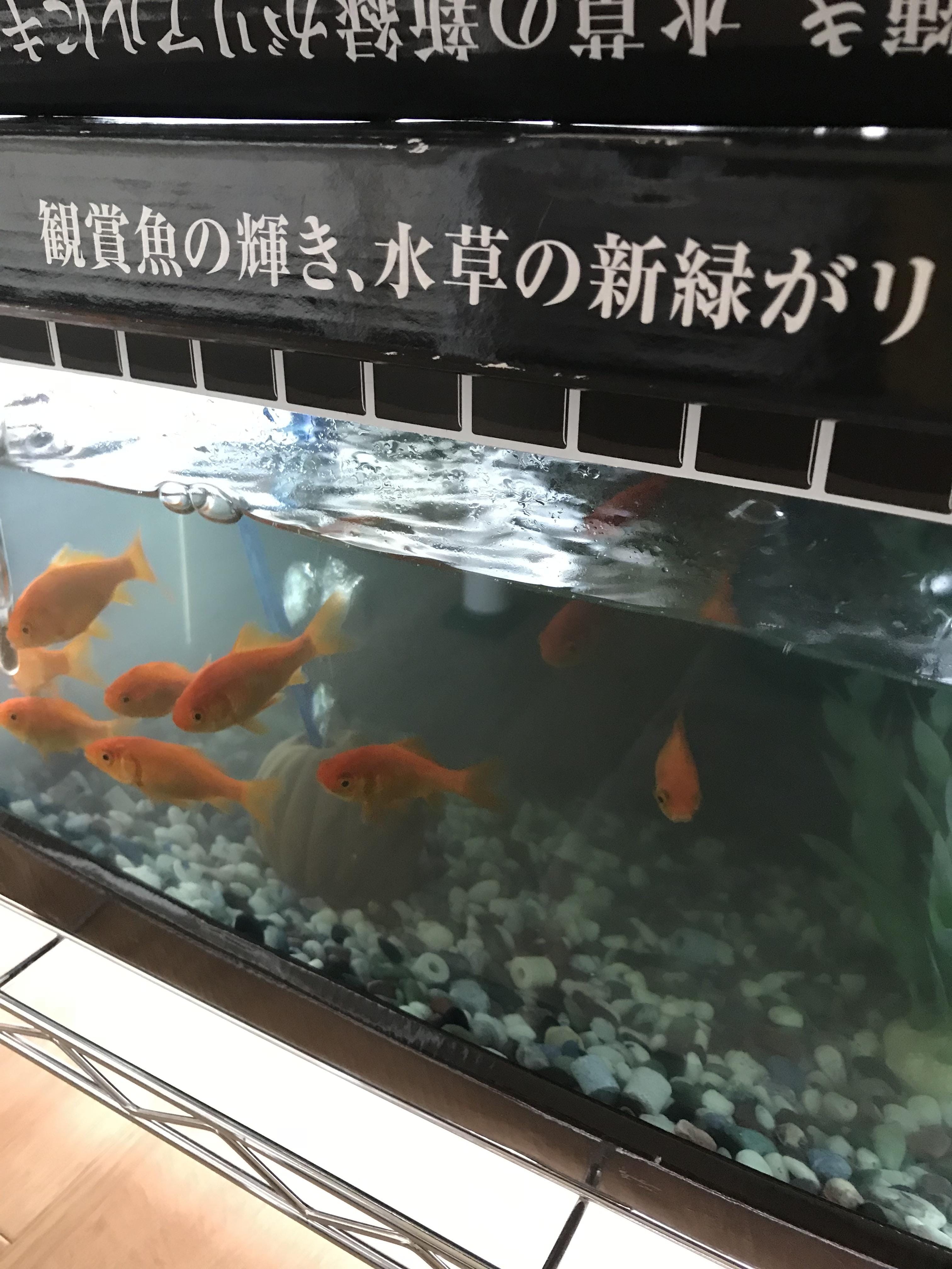 「こんにちは(^O^)」05/24(木) 12:12 | ことみの写メ・風俗動画
