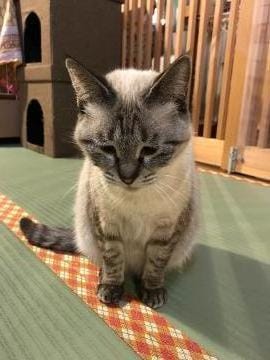 「お礼と次回予定?」06/19(火) 19:49 | ゆみの写メ・風俗動画
