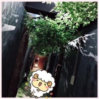 「♡」06/20(水) 08:15 | ルミの写メ・風俗動画