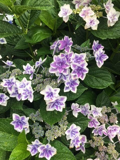 「雨〜〜☔️」06/20(水) 09:58 | わかの写メ・風俗動画