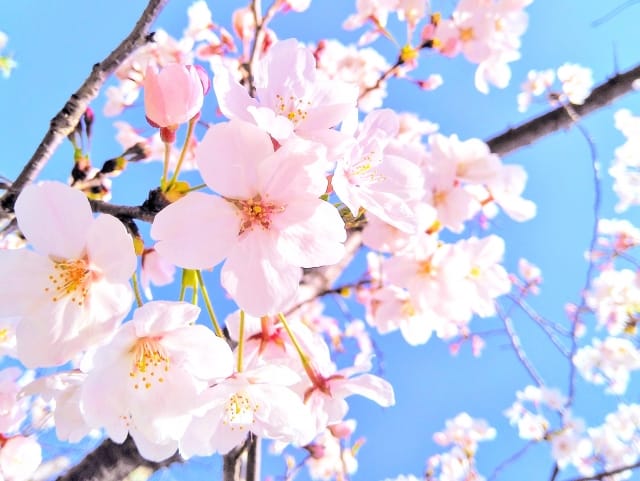 早見|水戸メンズエステの最新写メ日記