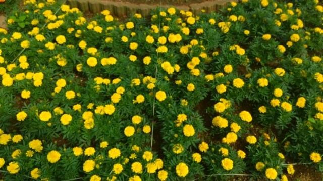 「あすかです☆」06/06(火) 16:18 | あすかの写メ