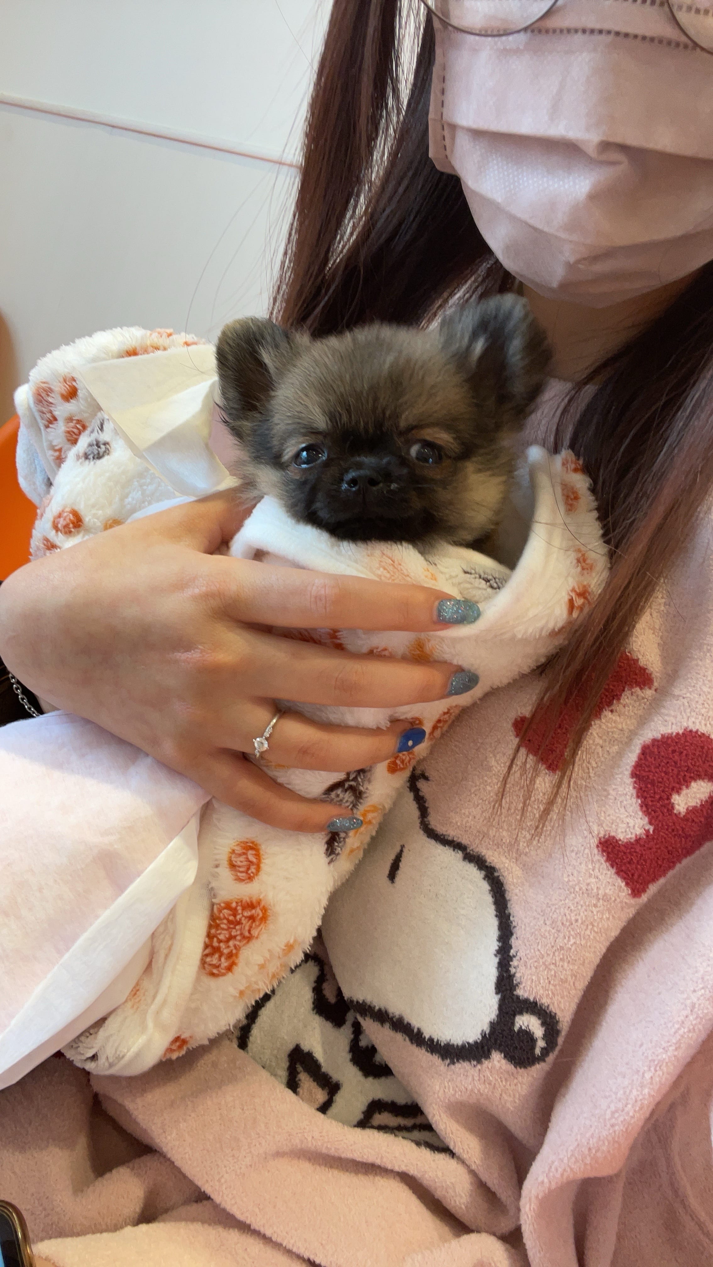 「はじめまして♥️」06/29(木) 00:54 | きらら店長の写メ日記