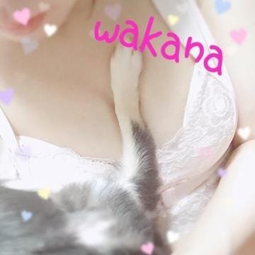 「昨日のありがと(*˙꒳˙*)」07/17(火) 17:13 | 美月 わかなの写メ・風俗動画