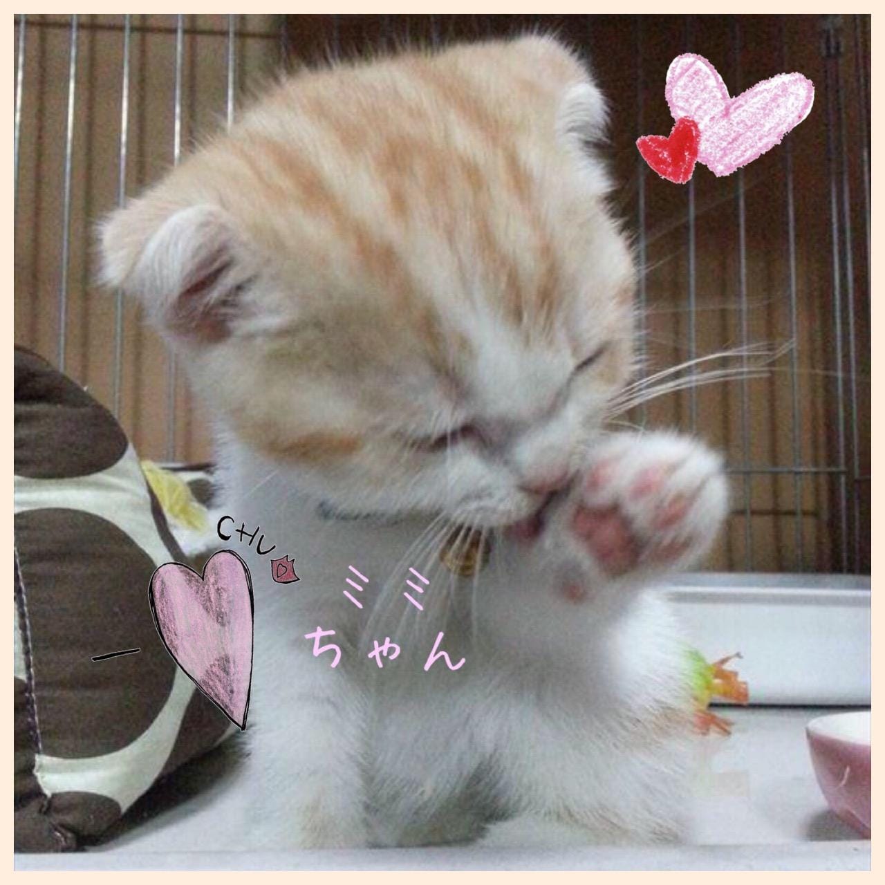 「先程、写メ日記書いてる途中で…(^^;;」07/28(土) 21:35 | あゆみの写メ・風俗動画