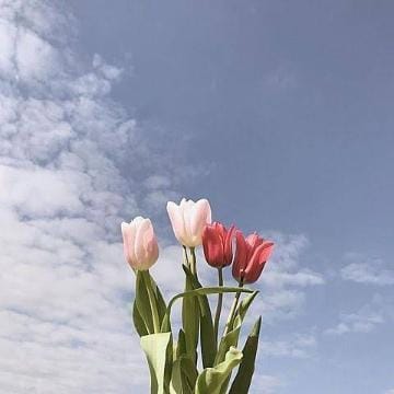 大室まりさ|池袋ホテヘルの最新写メ日記