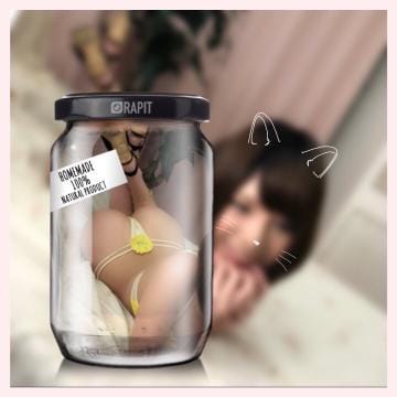 「こんにちわ」08/09(木) 19:16 | 華呼 みらい☆恋人候補NO.1の写メ・風俗動画