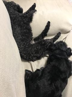 「仲良し」08/15(水) 23:56 | 黒川なおの写メ・風俗動画