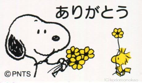 「こんにちわ」08/17(金) 00:19 | るいの写メ・風俗動画